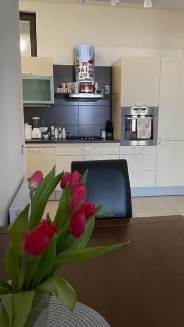 Apartment Marina Rijeka Ngoại thất bức ảnh