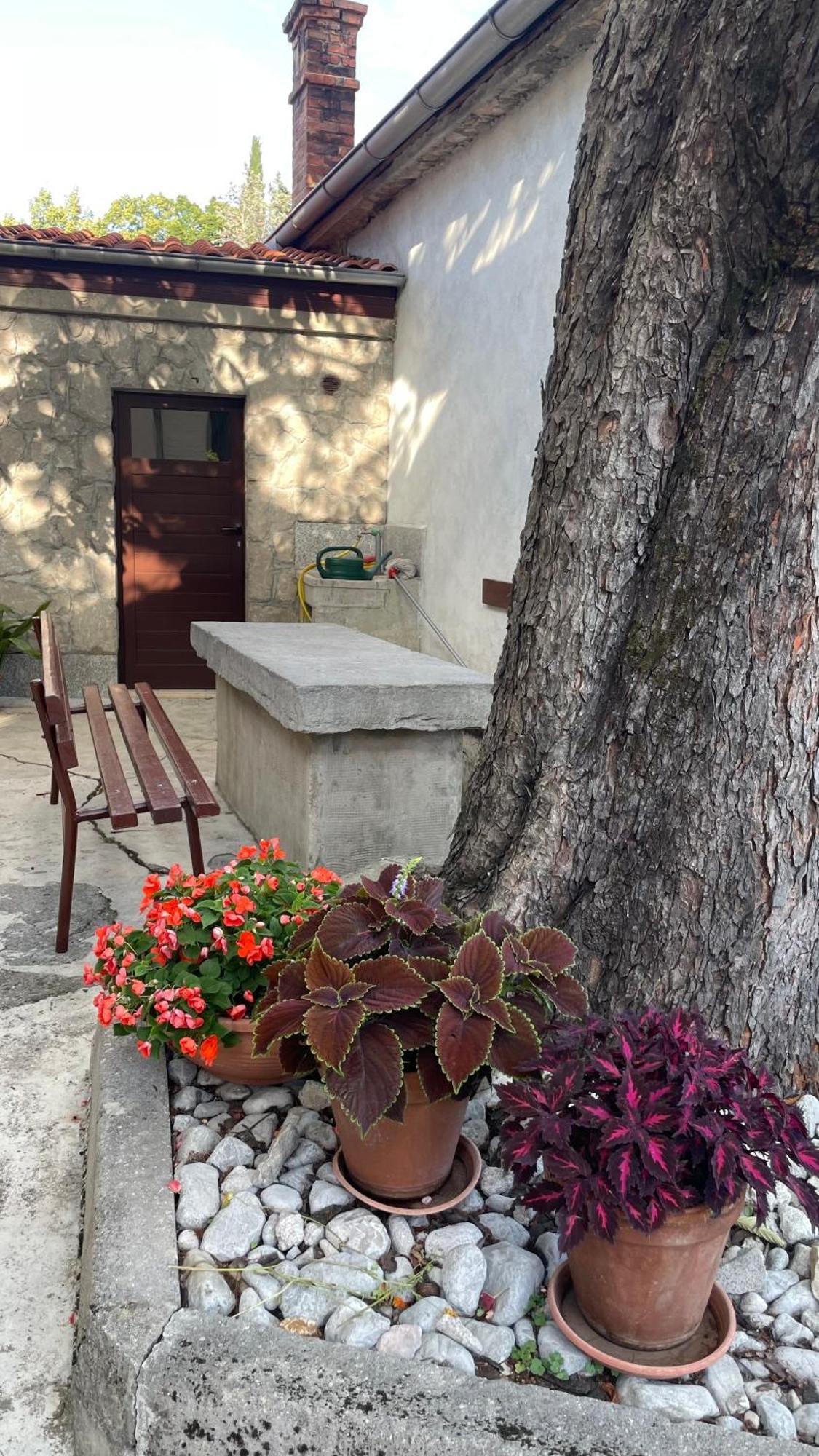 Apartment Marina Rijeka Ngoại thất bức ảnh